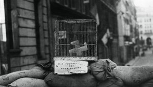 Barricata sulla Rue de Chateaudun, liberazione di Parigi, agosto 1944 da Unbekannt