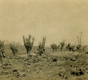 Campo di Battaglia, Maurepas, nord della Francia, c1914-c1918