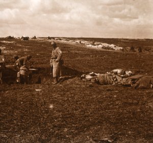 Campo di battaglia, Lihons, Francia settentrionale da Unbekannt