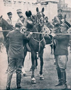 Benito Mussolini, leader fascista italiano da Unbekannt