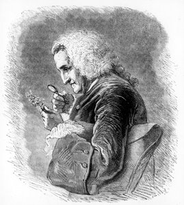 Bernard de Jussieu, botanico francese del XVIII secolo, 1880