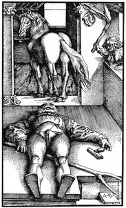 Sposo stregato, sposo addormentato e una strega, 1544 1964