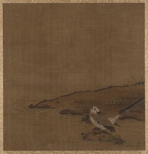 Uccello vicino all