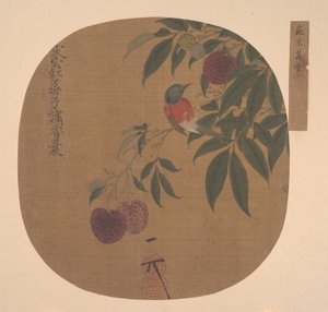 Uccello su un ramo di litchi