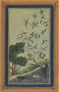 Uccelli a Baran, possibilmente dal Babur-nama, fine XVI secolo