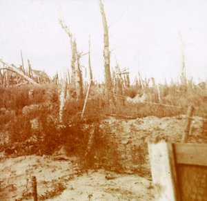 Legno esploso, Nieuwpoort, Fiandre, Belgio, c1914-c1918