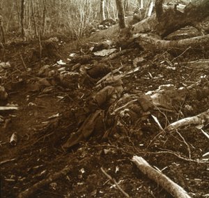 Corpi, Les Éparges, Francia settentrionale, 1915 da Unbekannt