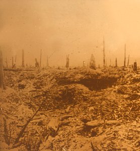 Bois du Chapitre, Vaux, nord della Francia, c1914-c1918 da Unbekannt