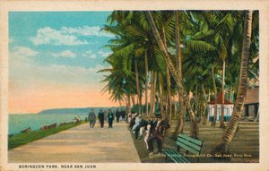 Parco Borinquen, vicino a San Juan, 1909 da Unbekannt
