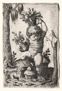Ragazzo con cesto di frutta, 1500 o 1600 da Unbekannt