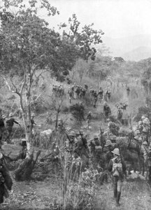 Truppe britanniche nella boscaglia ai confini dell