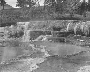 Brown Sulphur Springs, Parco Nazionale di Yellowstone, USA