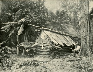 Capanna nel bush, Dandenong Ranges, Victoria, 1901 da Unbekannt