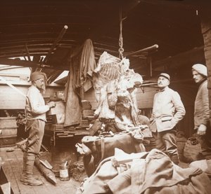 Macellai su una chiatta, Somme, Francia settentrionale, c1914-c1918 da Unbekannt