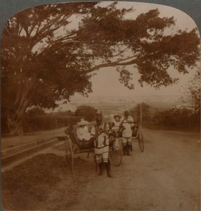 Carrozze trainate da nativi su una strada residenziale, Durban, Sudafrica da Unbekannt