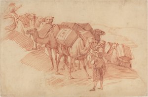 Carovana di cammelli