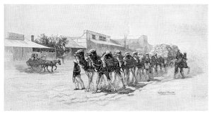 Squadra di cammelli, Wilcannia, Nuovo Galles del Sud, Australia, 1886 da Unbekannt