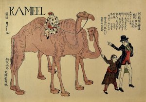 Cammelli con conduttori olandesi, ca. 1821