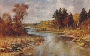 Scena di foresta canadese, 1924 da Unbekannt