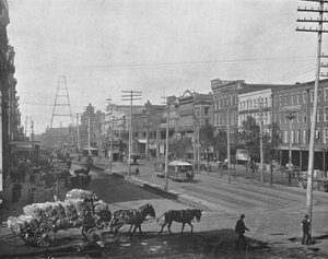 Canal Street, New Orleans, Louisiana, USA, c1900 da Unbekannt