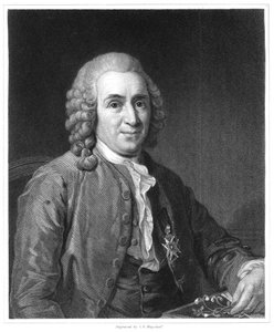 Carolus Linnaeus, naturalista svedese del XVIII secolo, 1835 da Unbekannt