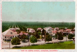 Castro Street, Hayward, California, 1905 da Unbekannt