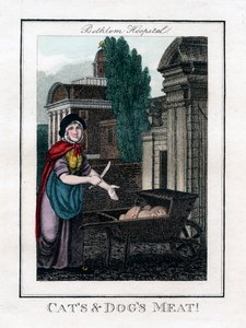 Carne di gatti e cani!, Bethlem Hospital, Londra, 1805