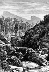 Ceylon da Unbekannt