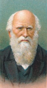 Charles Darwin 1809-1882, naturalista britannico, 1924