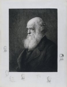 Charles Darwin, naturalista inglese, c 1860s da Unbekannt