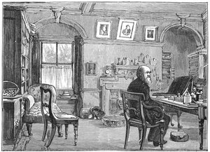 Charles Darwin, naturalista inglese, nel suo studio, c. 1870 da Unbekannt