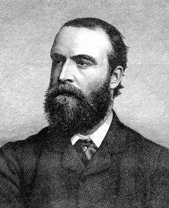 Charles Stuart Parnell, politico irlandese del XIX secolo da Unbekannt