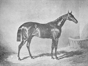 Carlo XII, vincitore del St. Leger 1839, 1911 da Unbekannt