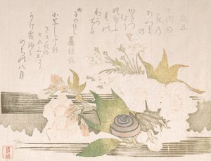 Fiori di ciliegio e una lumaca, 1816