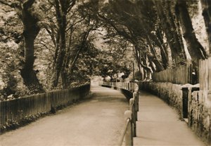 Chine Avenue, Shanklin, I.W., c1920