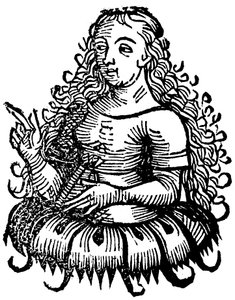Sibilla Cimmeria, 1493