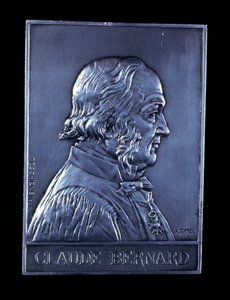 Claude Bernard, fisiologo francese del XIX secolo, 1913 da Unbekannt