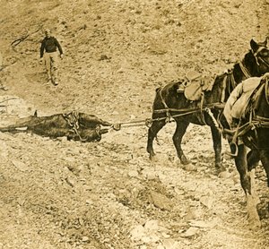 Pulizia del campo di battaglia da Unbekannt