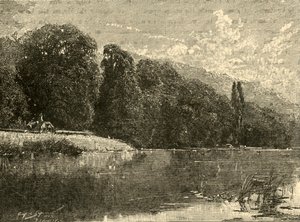Boschi di Cliefden, 1898 da Unbekannt