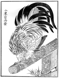 Gallo, XV secolo 1886