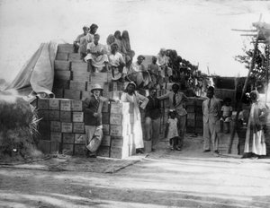 Produzione di cocco, India, XX secolo da Unbekannt