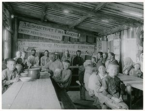 Collettivizzazione comunista dell