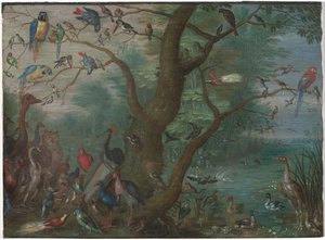 Concerto di uccelli, 1660-1670 da Unbekannt