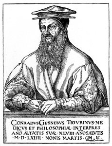 Conrad Gessner, naturalista svizzero, 1887