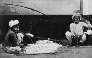 Pulitori di cotone, India