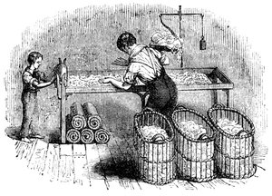Fabbricazione del cotone, c1845 da Unbekannt