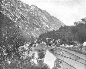 Cottonwood Canyon, Utah, USA, c1900