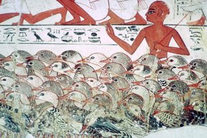 Contare le oche: frammento di affresco dalla tomba di Nebamun, Tebe, Egitto, c. 1350 a.C.