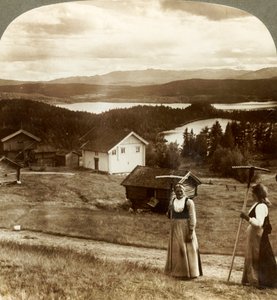 Ragazze di campagna durante la fienagione - sopra i laghi Bolkesjo e Folsjo verso i monti Himingen, Norvegia, c1905