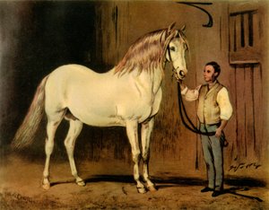 Cavallo da Carrozza di Stato della Regina Vittoria, c1875, 1944